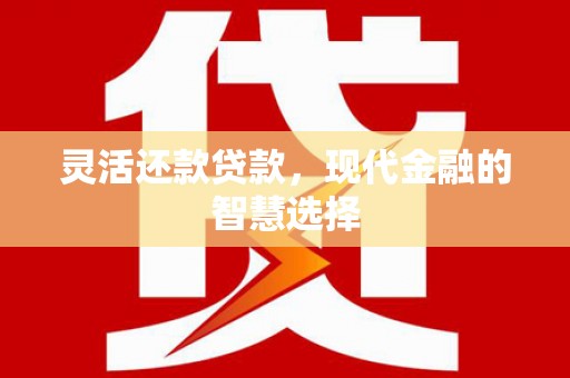 囊谦灵活还款贷款，现代金融的智慧选择
