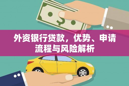 囊谦外资银行贷款，优势、申请流程与风险解析