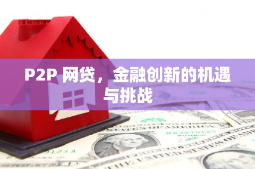 囊谦P2P 网贷，金融创新的机遇与挑战