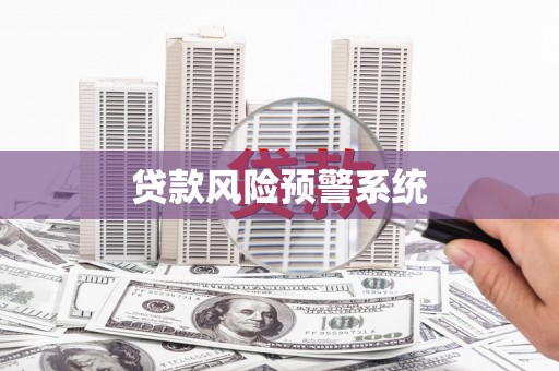 囊谦贷款风险预警系统