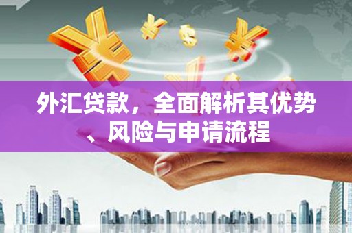 囊谦外汇贷款，全面解析其优势、风险与申请流程