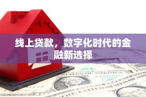 囊谦线上贷款，数字化时代的金融新选择