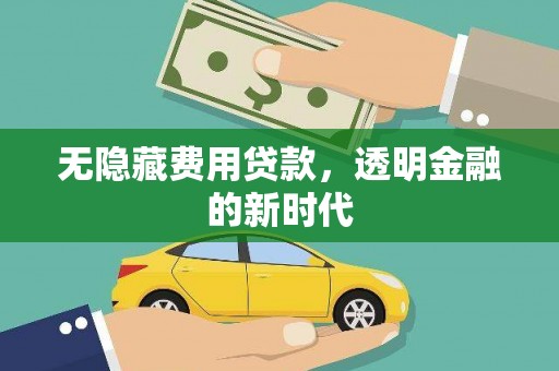 囊谦无隐藏费用贷款，透明金融的新时代