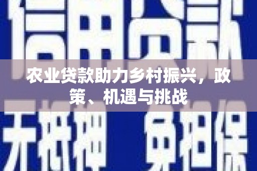 囊谦农业贷款助力乡村振兴，政策、机遇与挑战