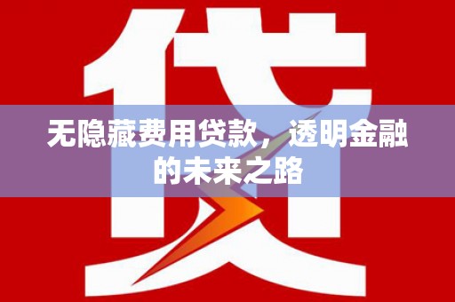 囊谦无隐藏费用贷款，透明金融的未来之路