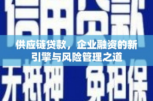 囊谦供应链贷款，企业融资的新引擎与风险管理之道