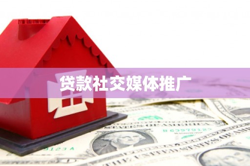 囊谦贷款社交媒体推广