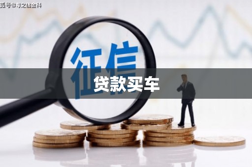 囊谦贷款买车