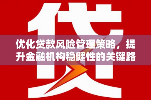 囊谦优化贷款风险管理策略，提升金融机构稳健性的关键路径