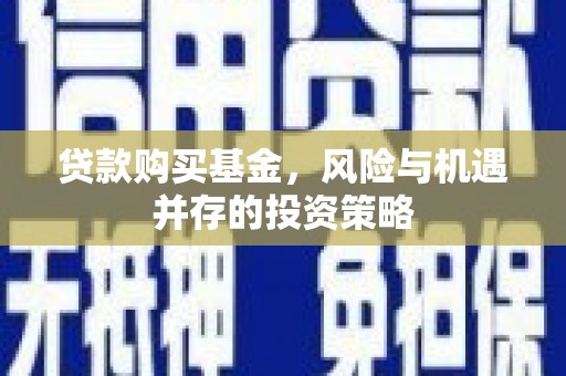 囊谦贷款购买基金，风险与机遇并存的投资策略