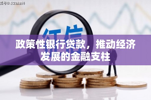 囊谦政策性银行贷款，推动经济发展的金融支柱