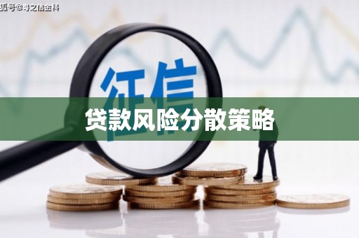 囊谦贷款风险分散策略
