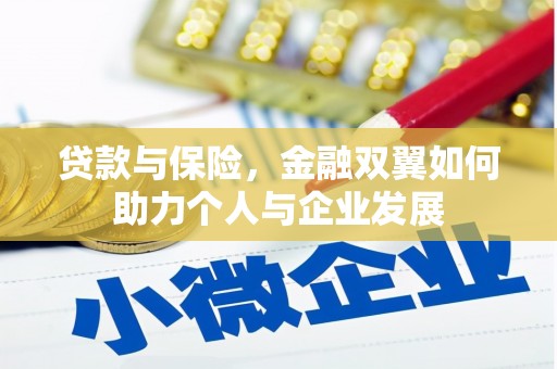 囊谦贷款与保险，金融双翼如何助力个人与企业发展