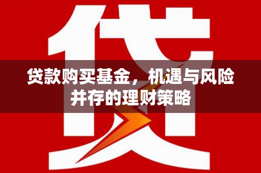 囊谦贷款购买基金，机遇与风险并存的理财策略