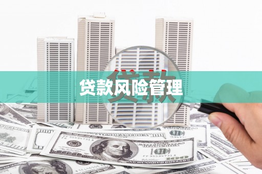 囊谦贷款风险管理