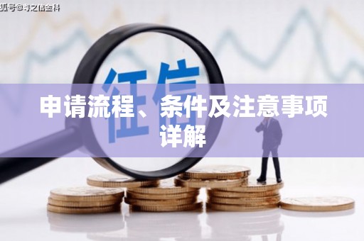囊谦申请流程、条件及注意事项详解