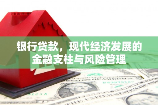 囊谦银行贷款，现代经济发展的金融支柱与风险管理