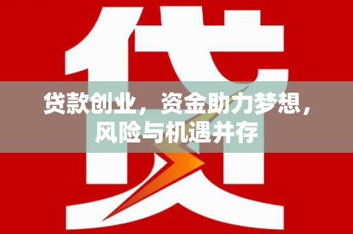 囊谦贷款创业，资金助力梦想，风险与机遇并存