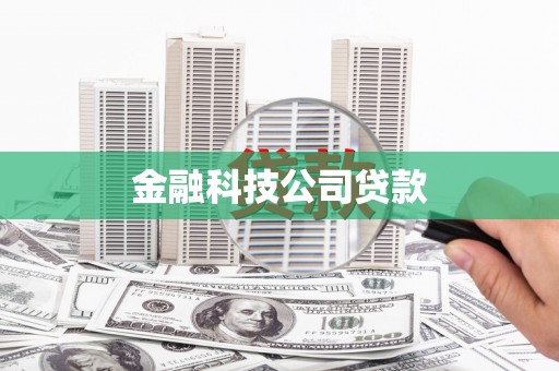 囊谦金融科技公司贷款