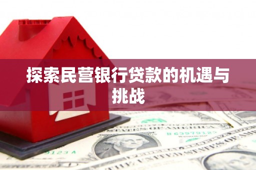 囊谦探索民营银行贷款的机遇与挑战