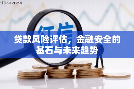 囊谦贷款风险评估，金融安全的基石与未来趋势