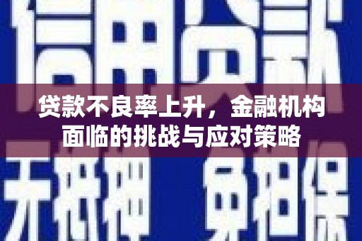囊谦贷款不良率上升，金融机构面临的挑战与应对策略