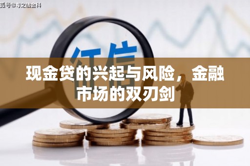 囊谦现金贷的兴起与风险，金融市场的双刃剑