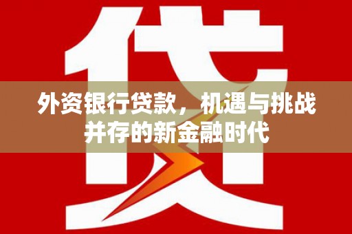 囊谦外资银行贷款，机遇与挑战并存的新金融时代