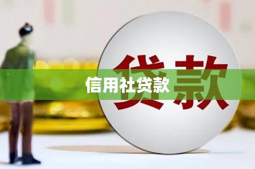 囊谦信用社贷款