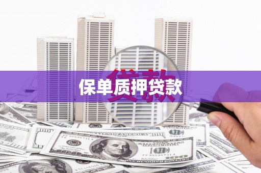 囊谦保单质押贷款