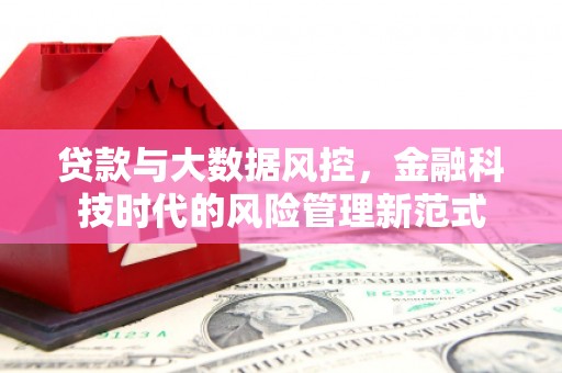 囊谦贷款与大数据风控，金融科技时代的风险管理新范式