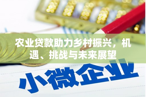 囊谦农业贷款助力乡村振兴，机遇、挑战与未来展望