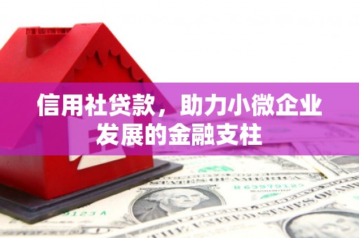 囊谦信用社贷款，助力小微企业发展的金融支柱