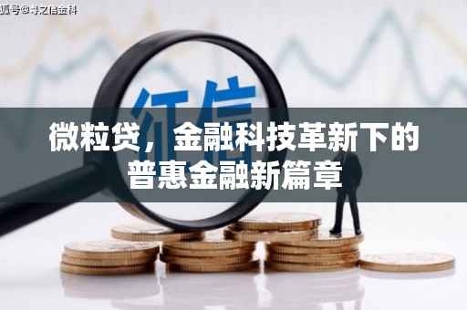 囊谦微粒贷，金融科技革新下的普惠金融新篇章