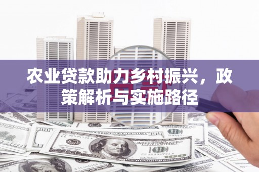 囊谦农业贷款助力乡村振兴，政策解析与实施路径