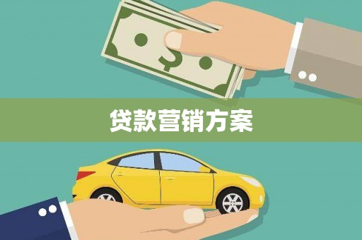囊谦贷款营销方案