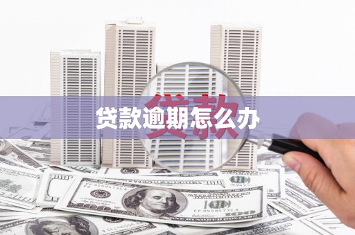 囊谦贷款逾期怎么办