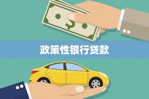 囊谦政策性银行贷款