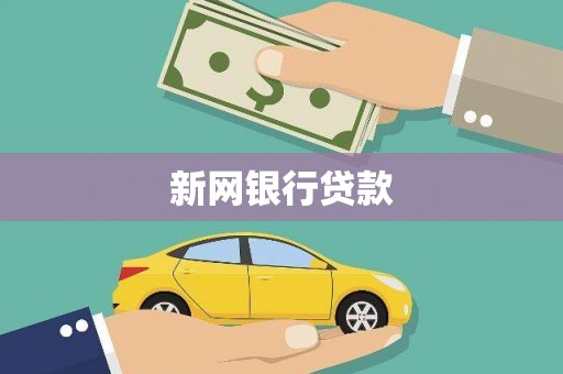 囊谦新网银行贷款