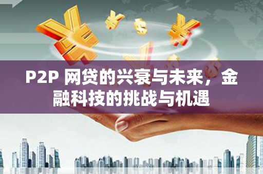 囊谦P2P 网贷的兴衰与未来，金融科技的挑战与机遇