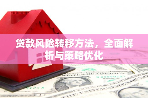 囊谦贷款风险转移方法，全面解析与策略优化