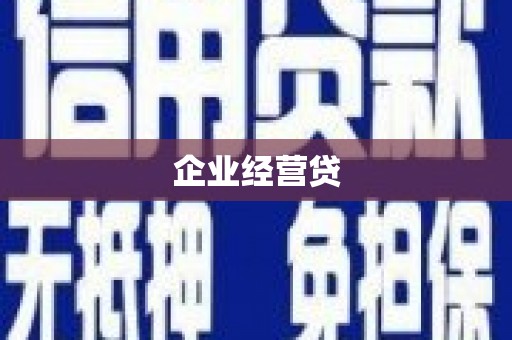 囊谦企业经营贷