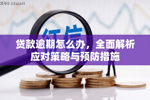 囊谦贷款逾期怎么办，全面解析应对策略与预防措施