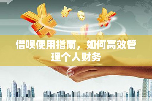囊谦借呗使用指南，如何高效管理个人财务