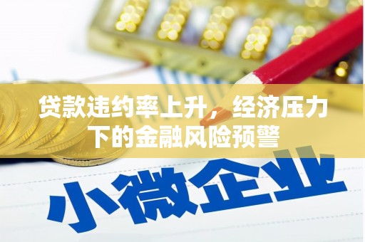 囊谦贷款违约率上升，经济压力下的金融风险预警
