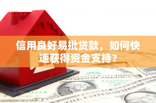 囊谦信用良好易批贷款，如何快速获得资金支持？
