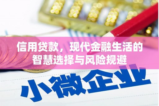 囊谦信用贷款，现代金融生活的智慧选择与风险规避