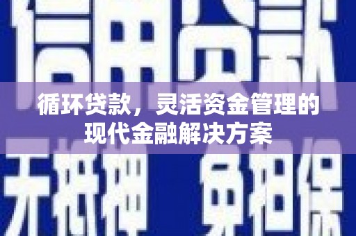 囊谦循环贷款，灵活资金管理的现代金融解决方案
