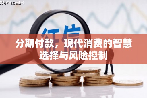 囊谦分期付款，现代消费的智慧选择与风险控制