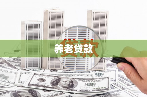 囊谦养老贷款